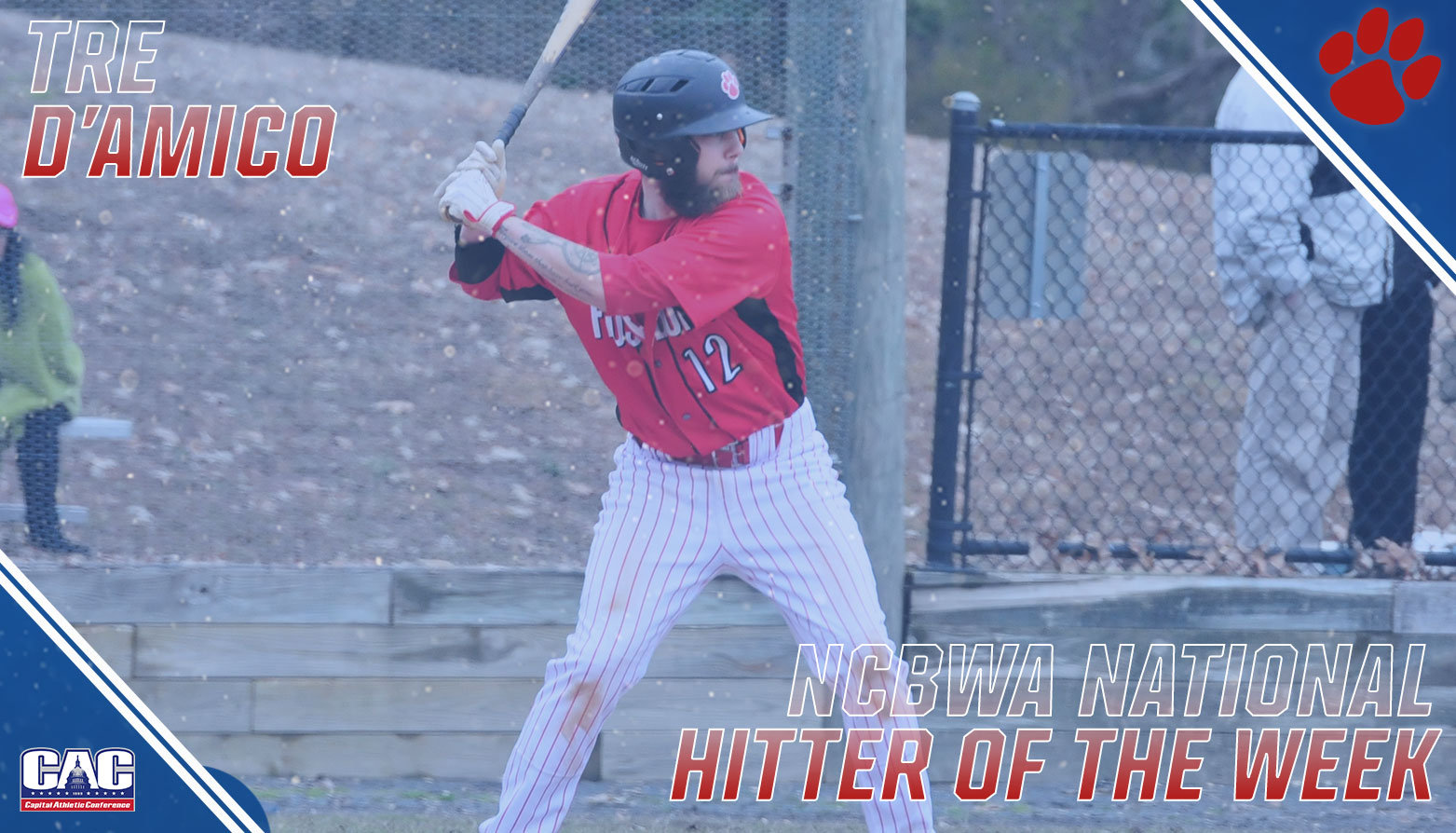 Frostburg State's Tre D'Amico Selected NCBWA National Hitter of the Week
