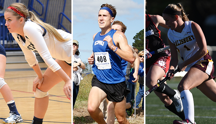 Mary Washington Volleyball, Christopher Newport Men's Cross Country, and Salisbury Field Hockey Continue Quests for NCAA Championships