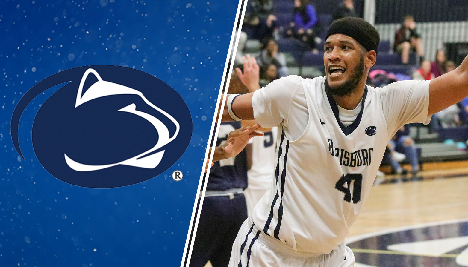 Penn State Harrisburg's Chris Bing Collects CAC Men's Basketball Player of the Week Honors