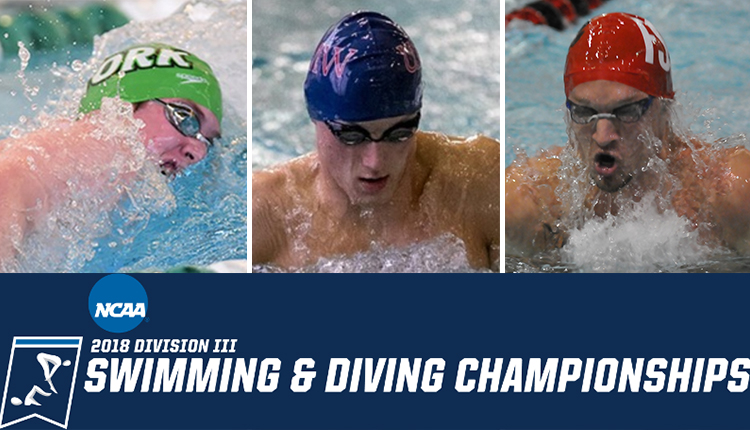 Frostburg State's March, Mary Washington's Leckrone, & York's Stahl Earn Spots at NCAA Men's Swimming Championships