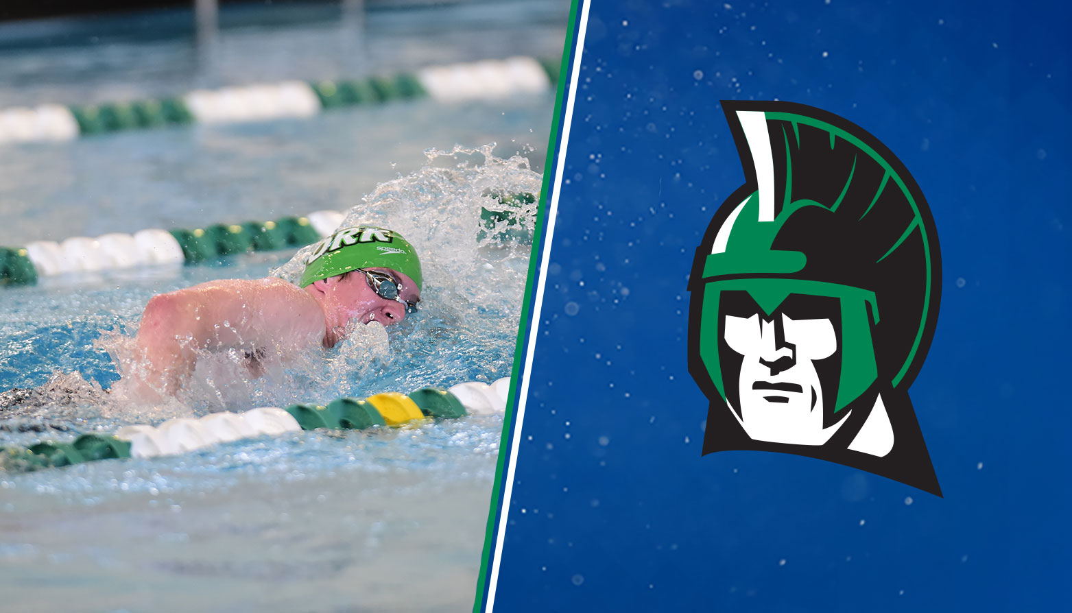 York's Keven Stahl Selected CAC Men's Swimmer of the Week for Third Consecutive Week