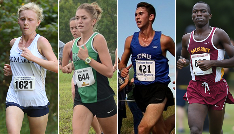 2017 CAC Cross Country Championship Preview