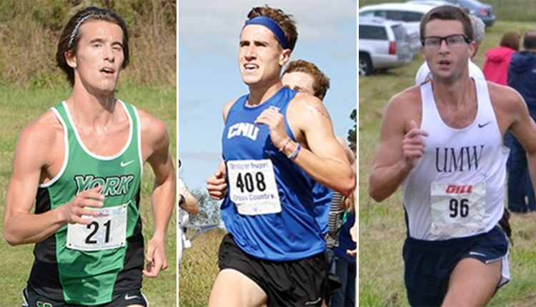 Christopher Newport and York Men's Cross Country Teams Headed to Nationals; UMW's Gibson Earns Individual Bid
