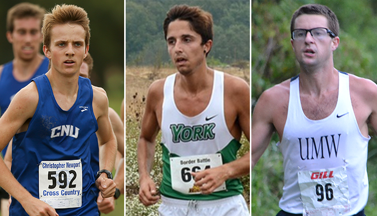 Christopher Newport and York Men's Cross Country Teams, Mary Washington's Gibson Ready for NCAA Championships