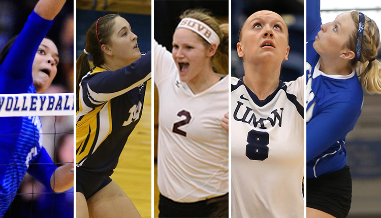 Five CAC Volleyball Players Earn AVCA All-America Honors; Salisbury's Stouffer Named to Third Team