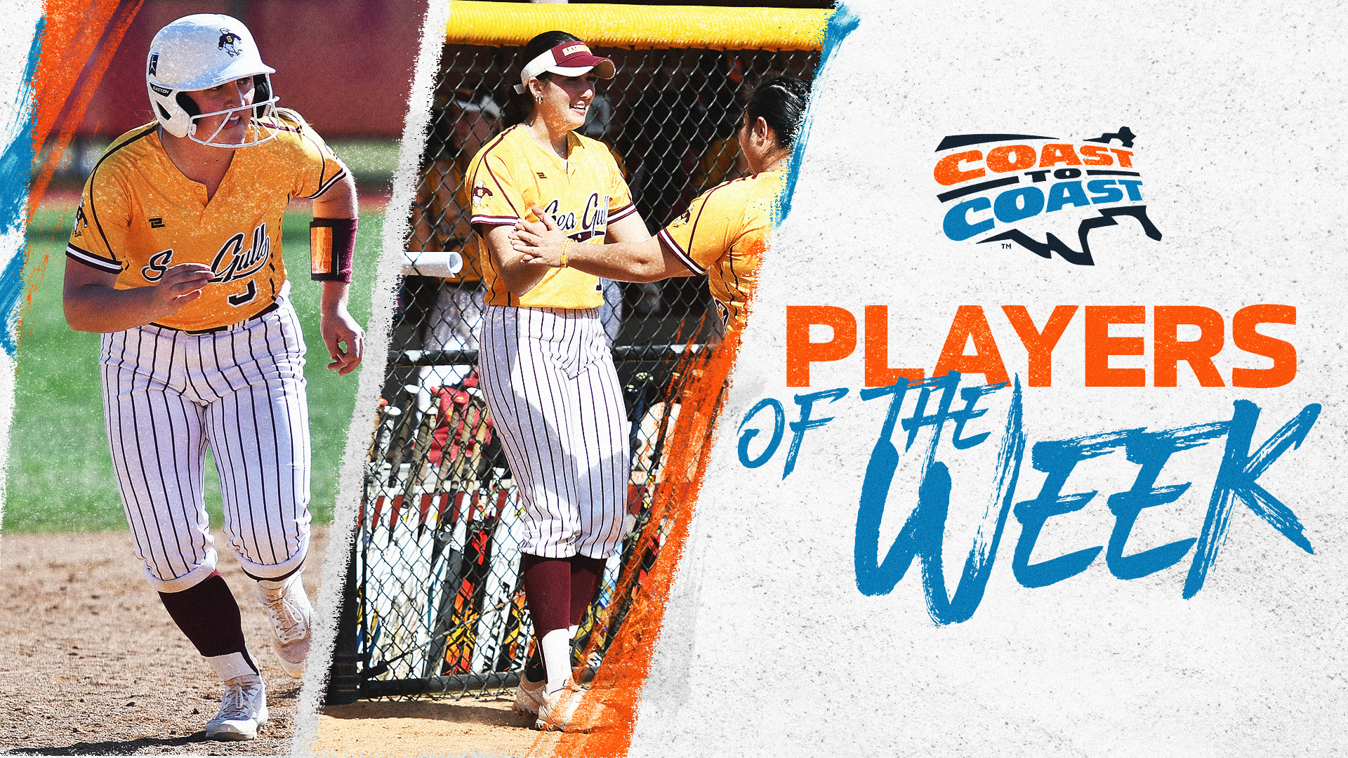 SU’s Challender, Purdy Selected C2C Softball Players of the Week
