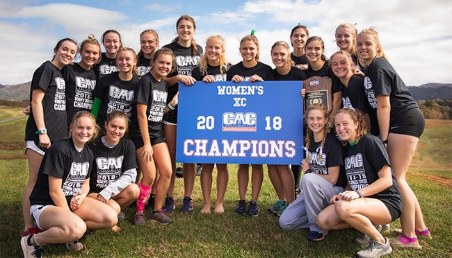 York Picked Unanimously Atop CAC Women's Cross Country Preseason Poll